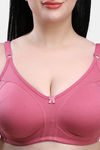 Maroon Clothing Double Layered Non Wired Full Coverage T-Shirt Bra (Pack of 2) - Multicolor — thumbnail 5